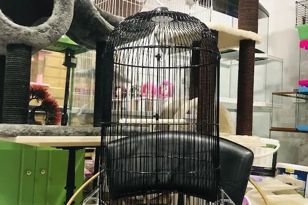 KARACA PETSHOP-AKVARYUM 2 23 NİSAN - Resim 3