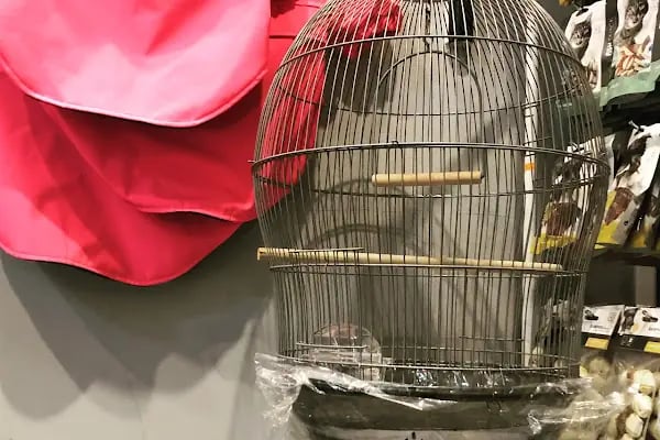 KARACA PETSHOP-AKVARYUM 2 23 NİSAN - Resim 5