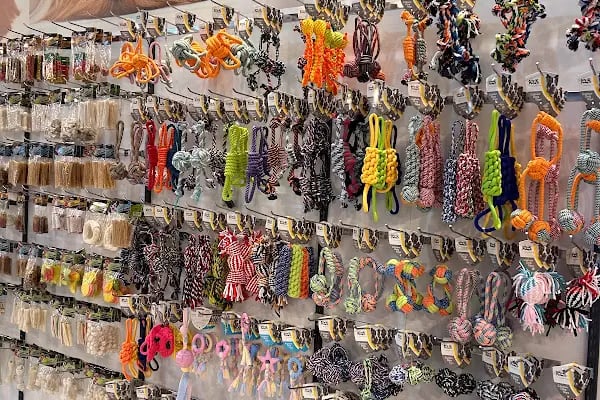 KARACA PETSHOP-AKVARYUM 2 23 NİSAN - Resim 8