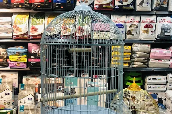 KARACA PETSHOP-AKVARYUM 2 23 NİSAN - Resim 14