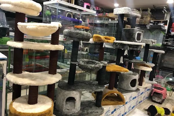 KARACA PETSHOP-AKVARYUM 2 23 NİSAN - Resim 10