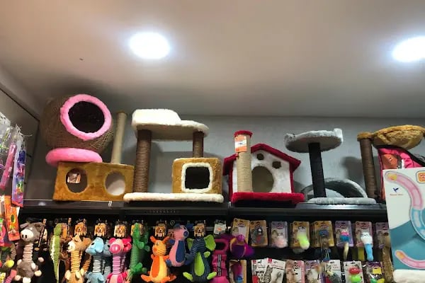 KARACA PETSHOP-AKVARYUM 2 23 NİSAN - Resim 12