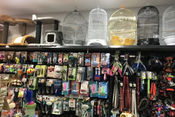 KARACA PETSHOP-AKVARYUM 2 23 NİSAN - Resim 2