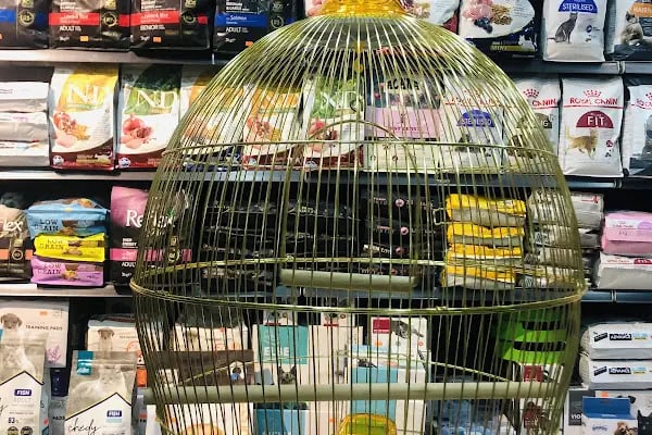 KARACA PETSHOP-AKVARYUM 2 23 NİSAN - Resim 17