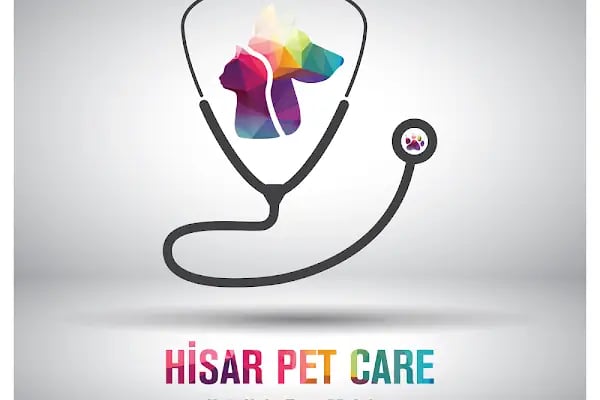 Hisar Pet Care Veterinerlik - Resim 17