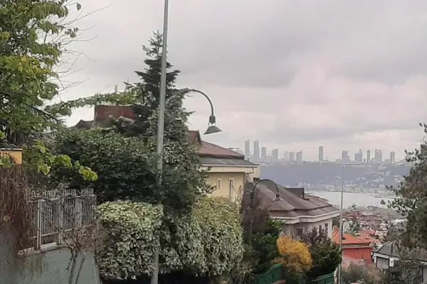 Hisar Pet Care Veterinerlik - Resim 16