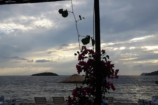 Pitos Cafe Bar - Resim 5