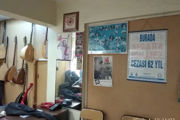Onar Müzik Aletleri - Resim 15