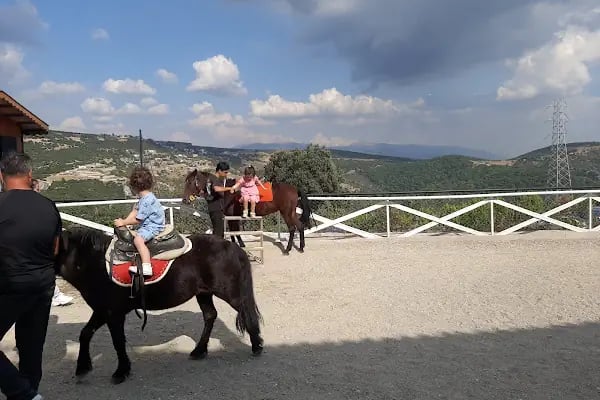 Reçine At Çiftliği - Resim 13