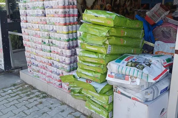 GÖKSOY AKVARYUM PET SHOP - Resim 2