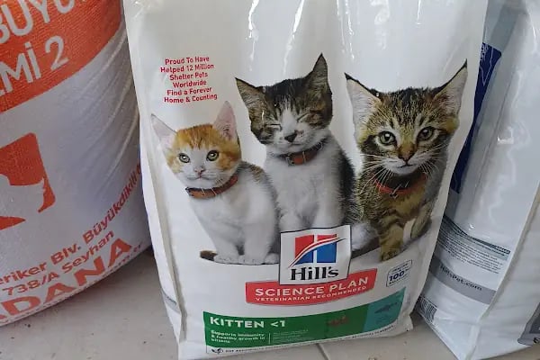 GÖKSOY AKVARYUM PET SHOP - Resim 7
