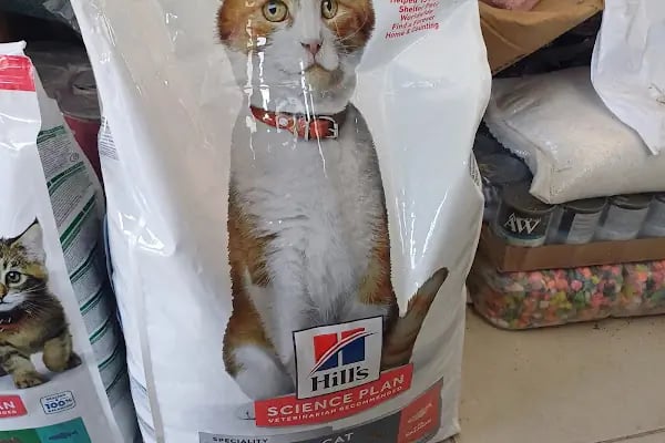 GÖKSOY AKVARYUM PET SHOP - Resim 3