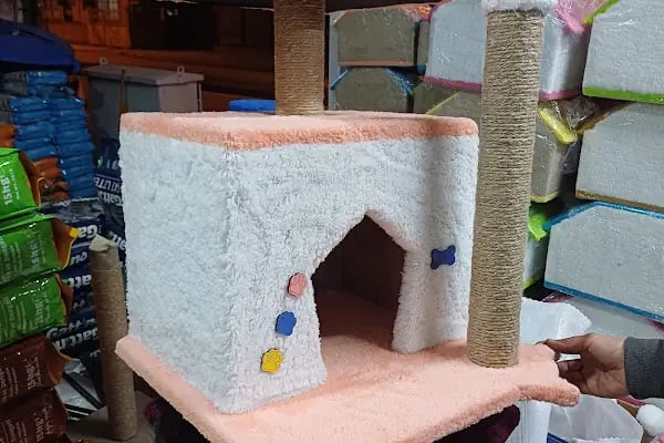 GÖKSOY AKVARYUM PET SHOP - Resim 18