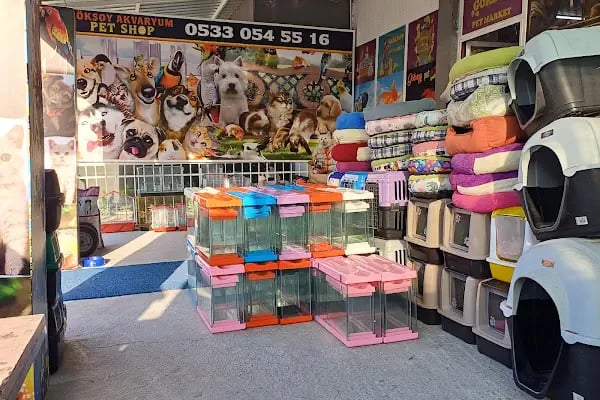 GÖKSOY AKVARYUM PET SHOP - Resim 16