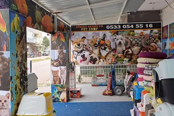 GÖKSOY AKVARYUM PET SHOP - Resim 9