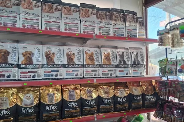 GÖKSOY AKVARYUM PET SHOP - Resim 6
