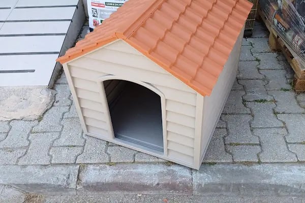 GÖKSOY AKVARYUM PET SHOP - Resim 4