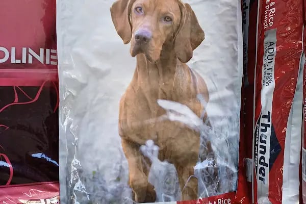 GÖKSOY AKVARYUM PET SHOP - Resim 19