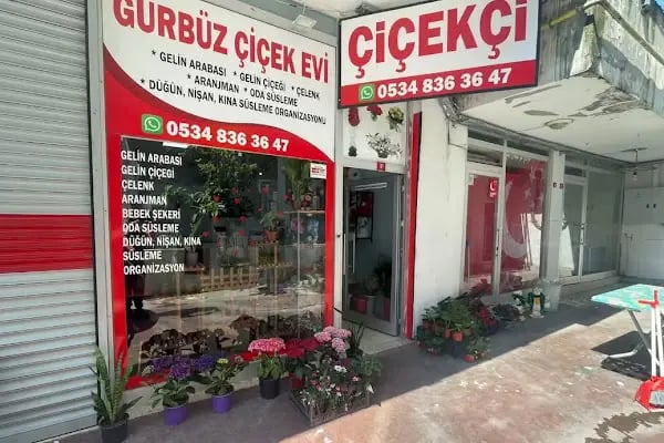 Gürbüz çiçek evi - Resim 2