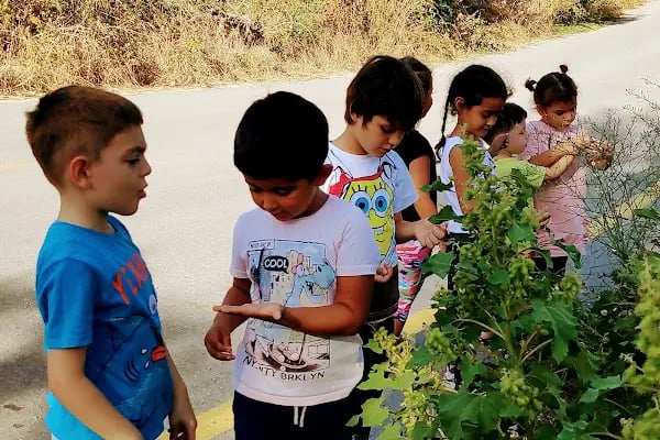 Mutlu Çocuk Anaokulu - Resim 18