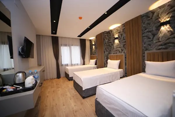 Arad Otel - Resim 13