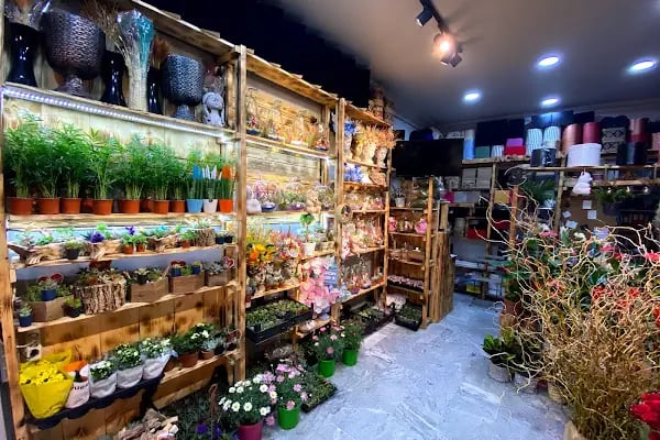 İnci Çiçek Ltd.Şti - Resim 17
