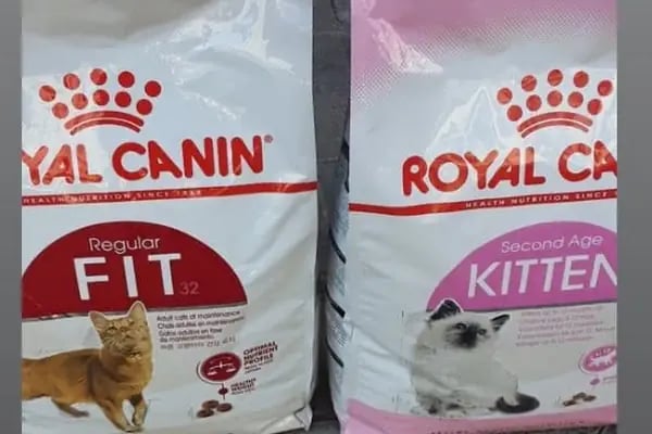 Pıtırcık pet shop - Resim 3