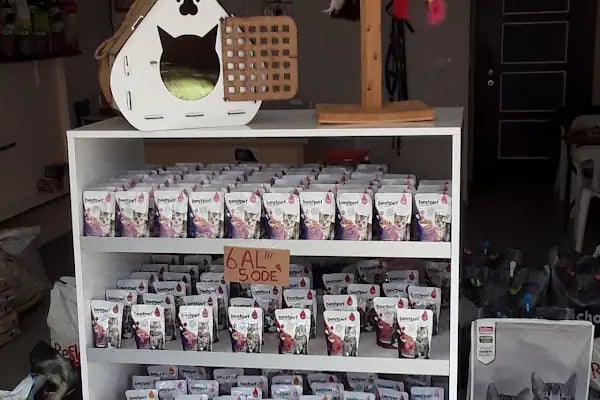 Pıtırcık pet shop - Resim 6