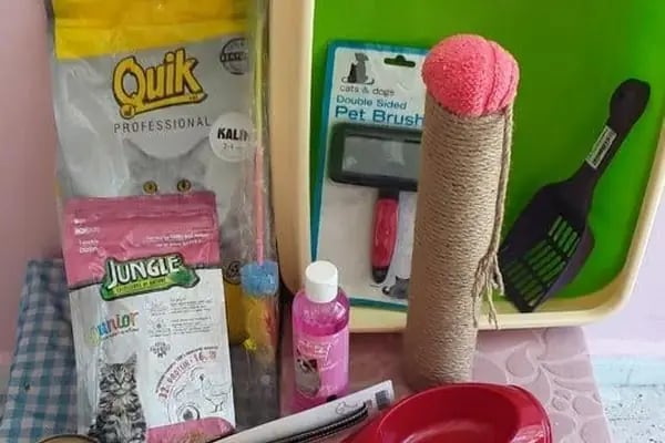 Pıtırcık pet shop - Resim 16
