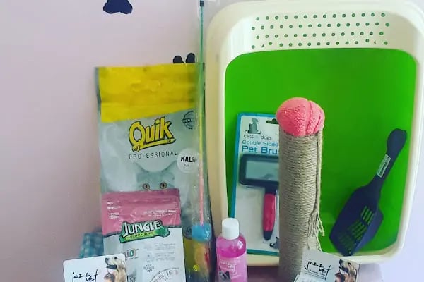 Pıtırcık pet shop - Resim 4