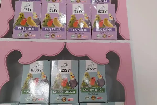 Pıtırcık pet shop - Resim 2