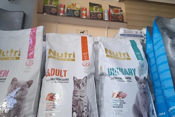 Pıtırcık pet shop - Resim 20