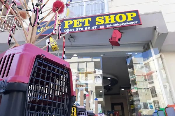 Pıtırcık pet shop - Resim 13