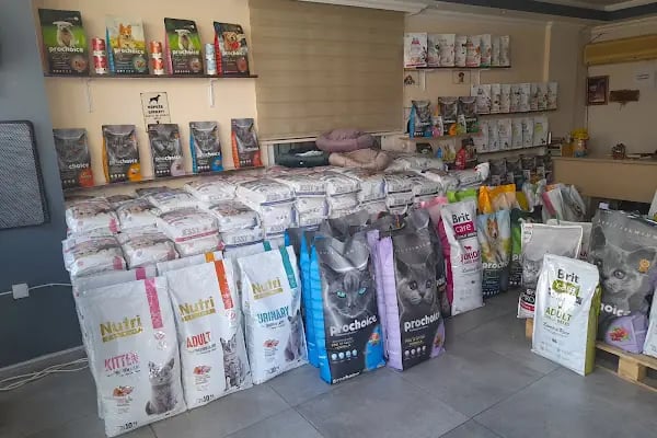 Pıtırcık pet shop - Resim 10