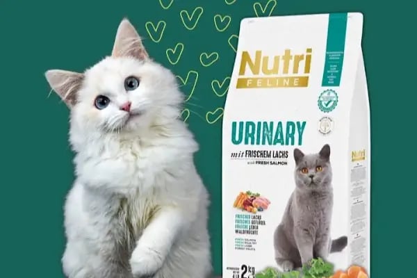 Pıtırcık pet shop - Resim 7