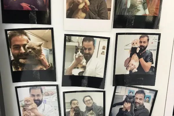 Bostanlı Plus Veteriner Kliniği - Resim 18
