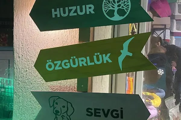 Bostanlı Plus Veteriner Kliniği - Resim 19