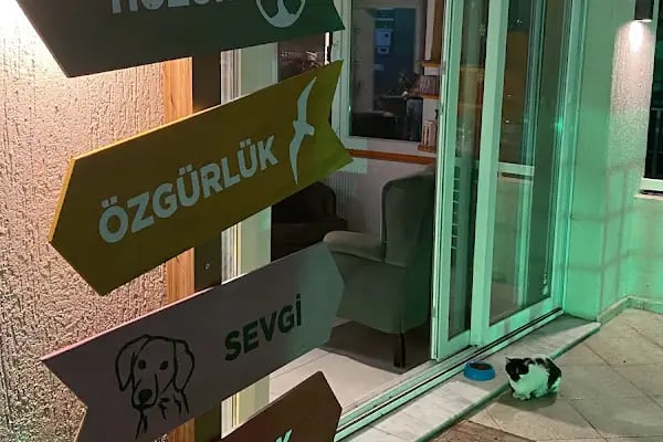 Bostanlı Plus Veteriner Kliniği - Resim 7