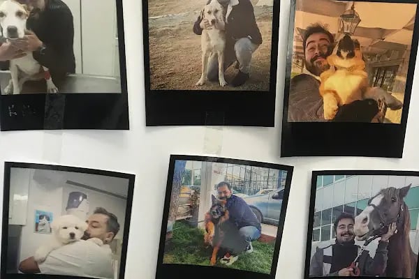 Bostanlı Plus Veteriner Kliniği - Resim 17