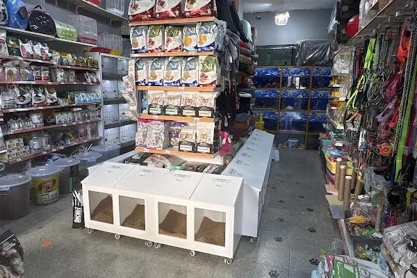 SİMAY PETSHOP - Resim 3