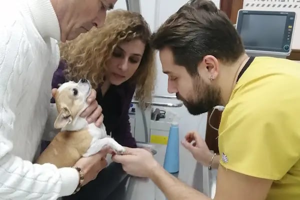 Pettention Veteriner Kliniği - Resim 7