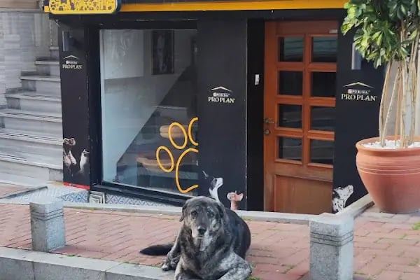 Pettention Veteriner Kliniği - Resim 11