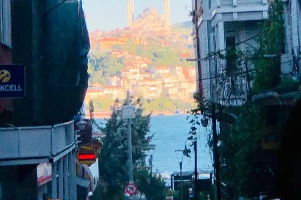 Pettention Veteriner Kliniği - Resim 3