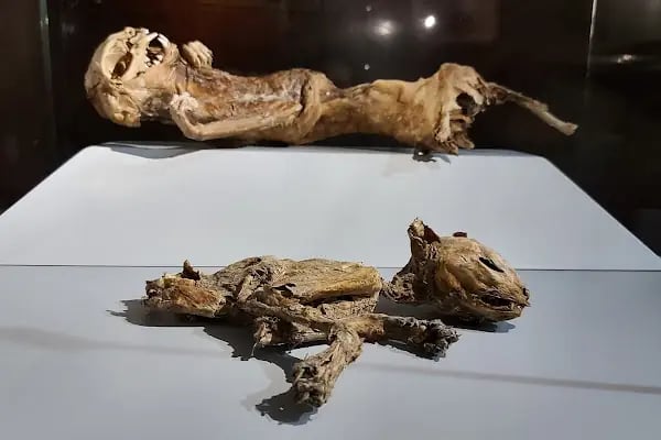 Aksaray Müzesi - Resim 3