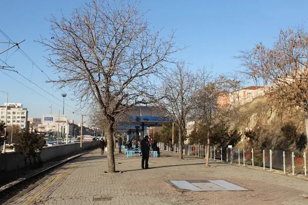 Yenişehir - Resim 12