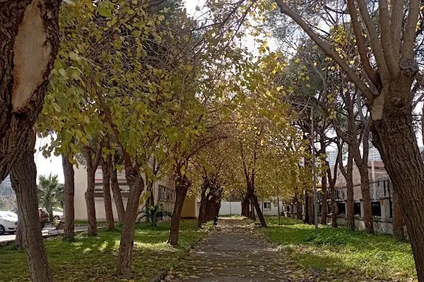 ALSANCAK UYGULAMA OTELİ - Resim 15