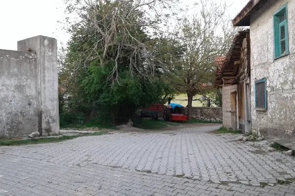 Ballısaray Eski Cami - Resim 3
