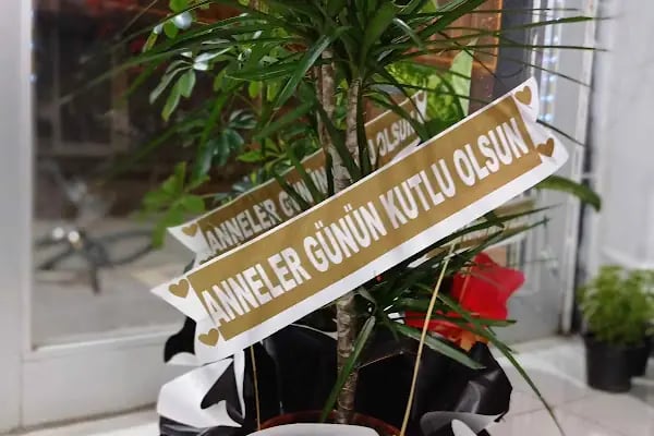 Ceylanpınar Yasemin Çiçekçilik - Resim 5