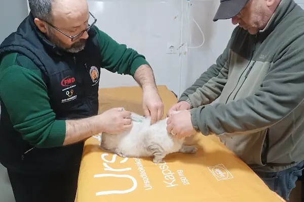 Kuzey Veteriner Kliniği - Resim 4