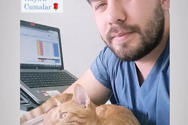 Barlas Veteriner Kliniği - Resim 1
